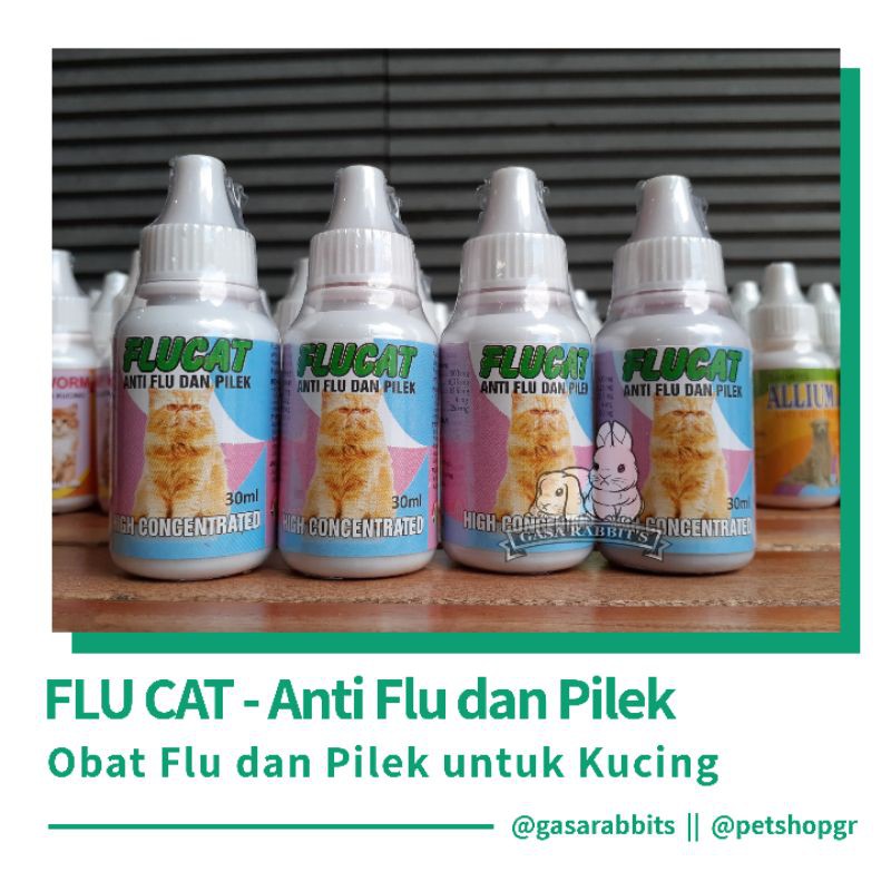 OBAT FLUCAT - OBAT FLU KUCING - OBAT PILEK KUCING - OBAT KUCING FLU - KUCING PILEK