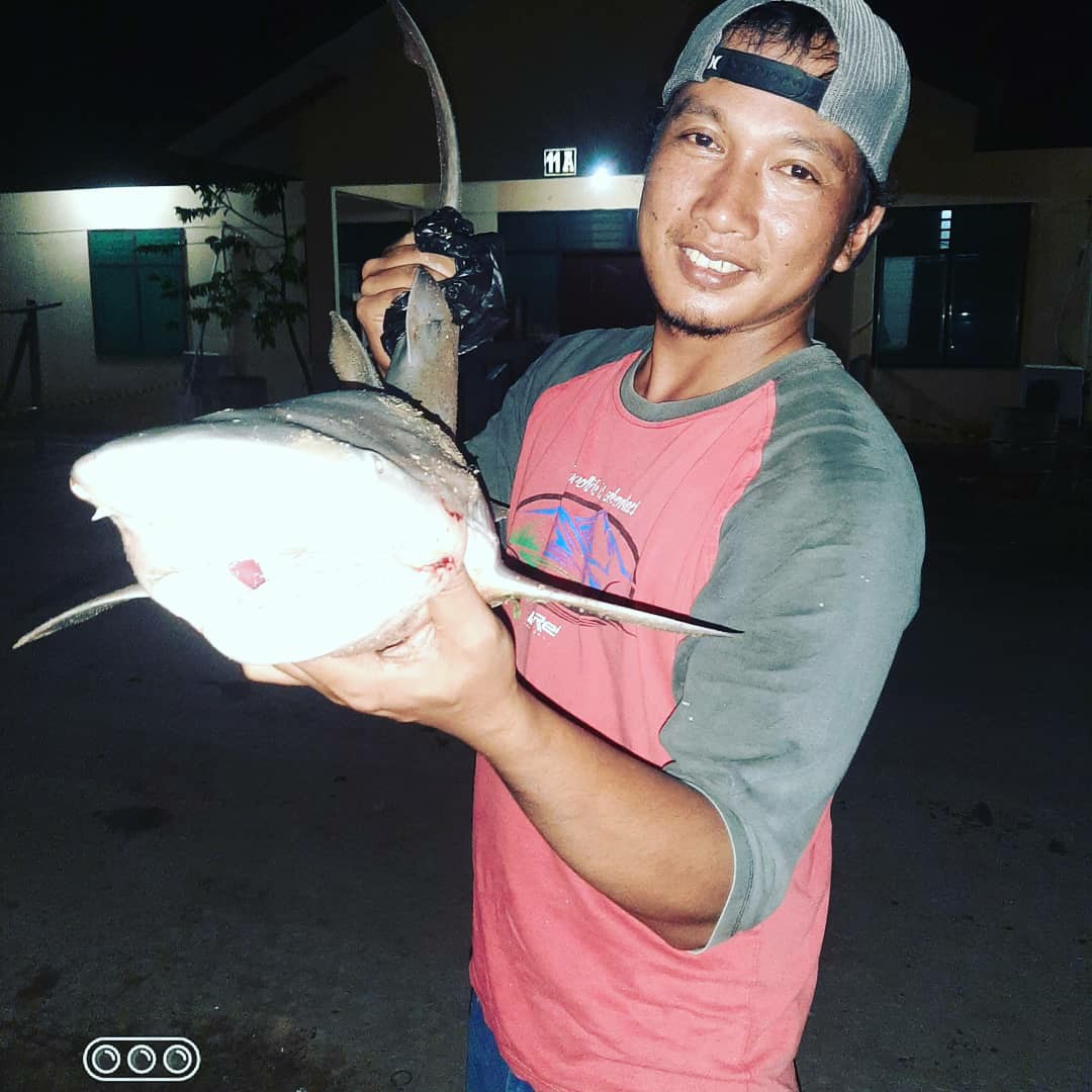 Golden Lake Rolling Swivel 1~5