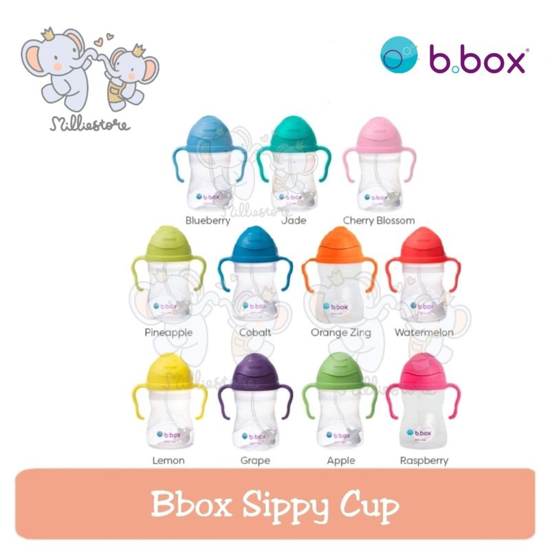 B BOX Sippy Cup / Botol Gelas Minum Air Anak BBox