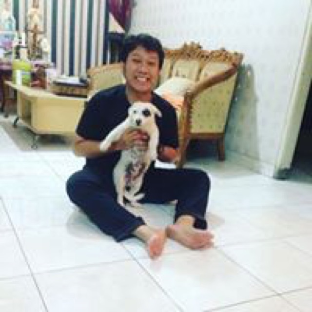 stephysetiawan
