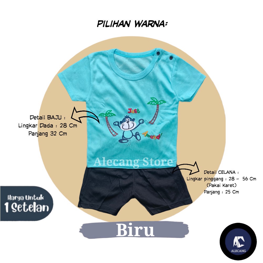 Setelan Pendek Baju Bayi Laki-laki size 6 - 12 Bulan Merk EDRYCA