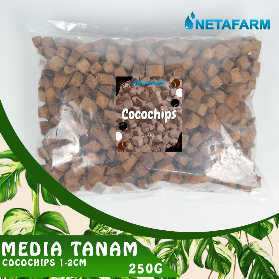 Cocochip Kulit Kelapa Sepet Alas Reptil Media Tanam 250gr - 1pcs