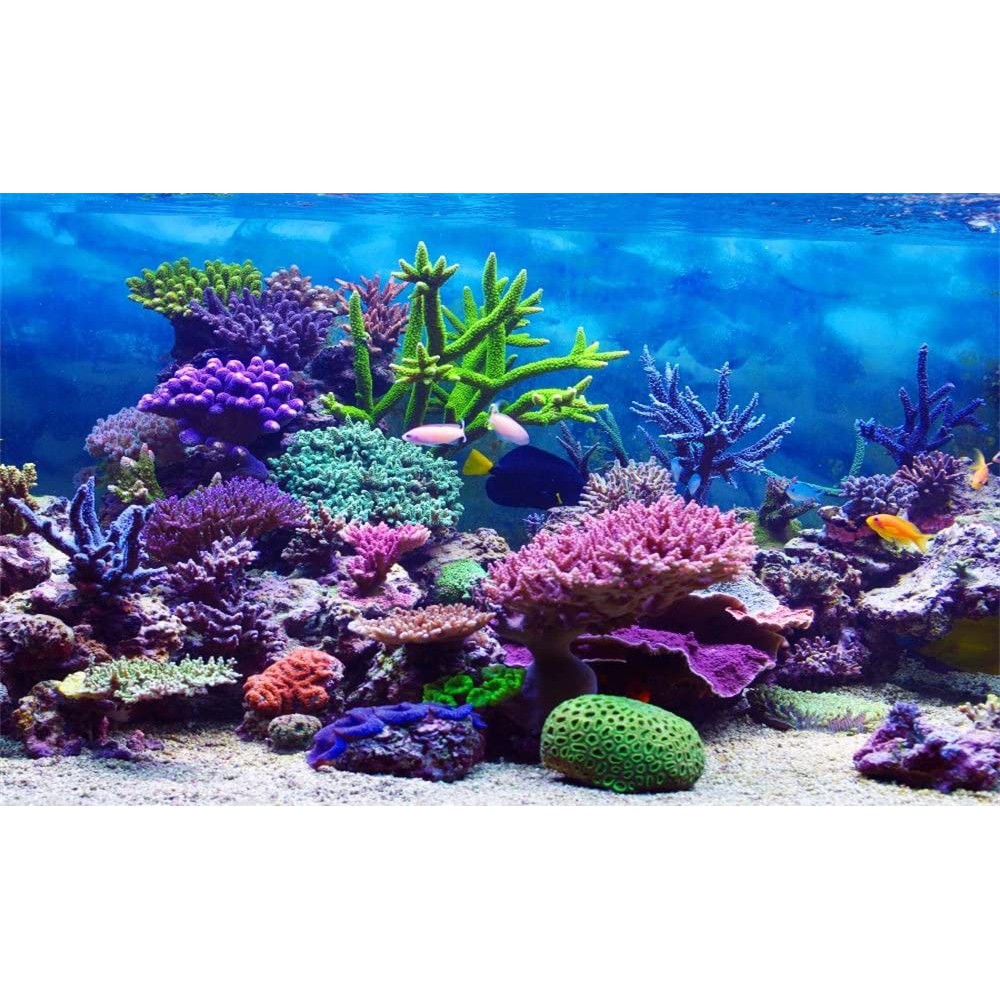 WALPAPER BIGRON GAMBAR AQUARIUM BISA COD