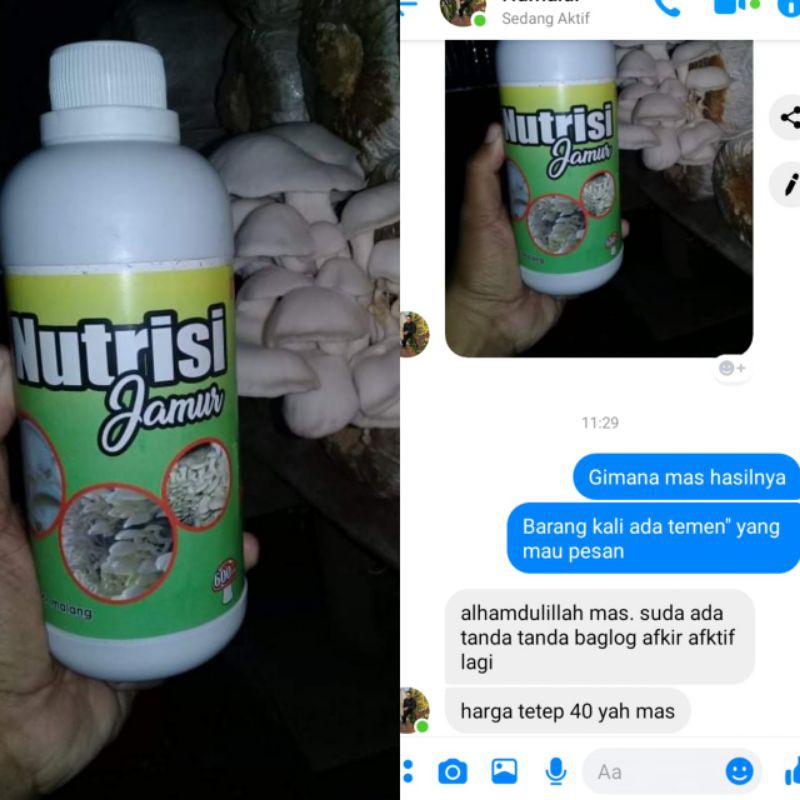 

Nutrisi Jamur 600ml