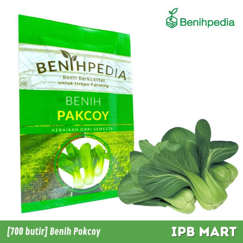 Benih bibit sayuran Pokcoy pakcoy-1
