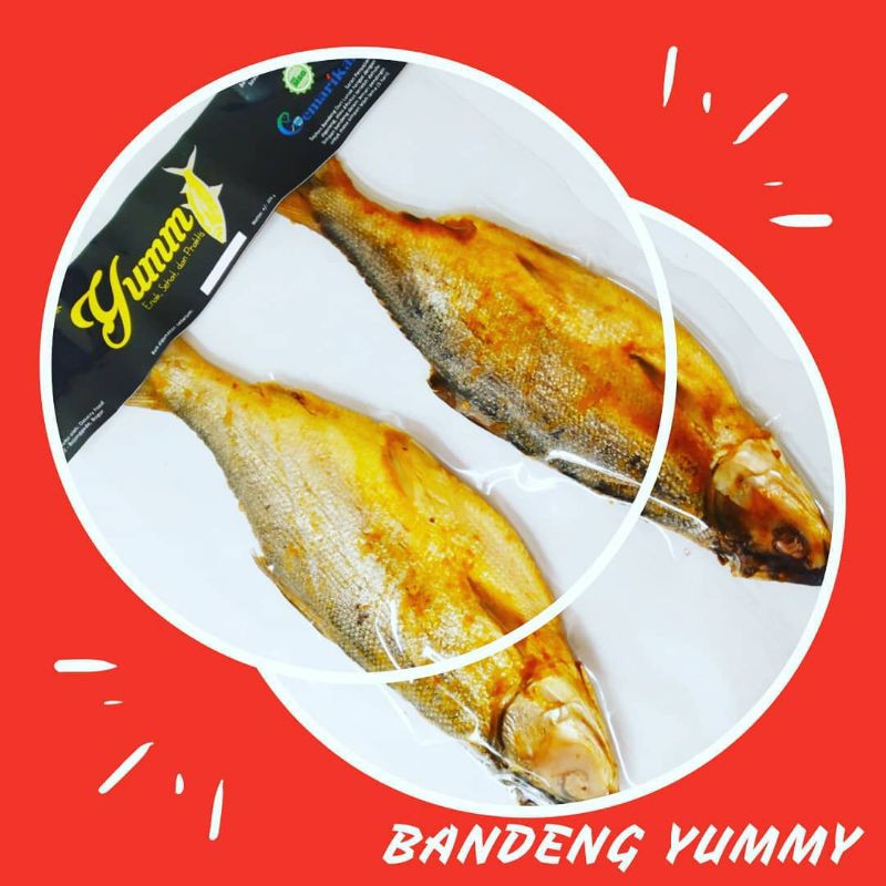 

Bandeng Duri Lunak Yummy ukuran ±225 g 1 pack isi 2 ekor