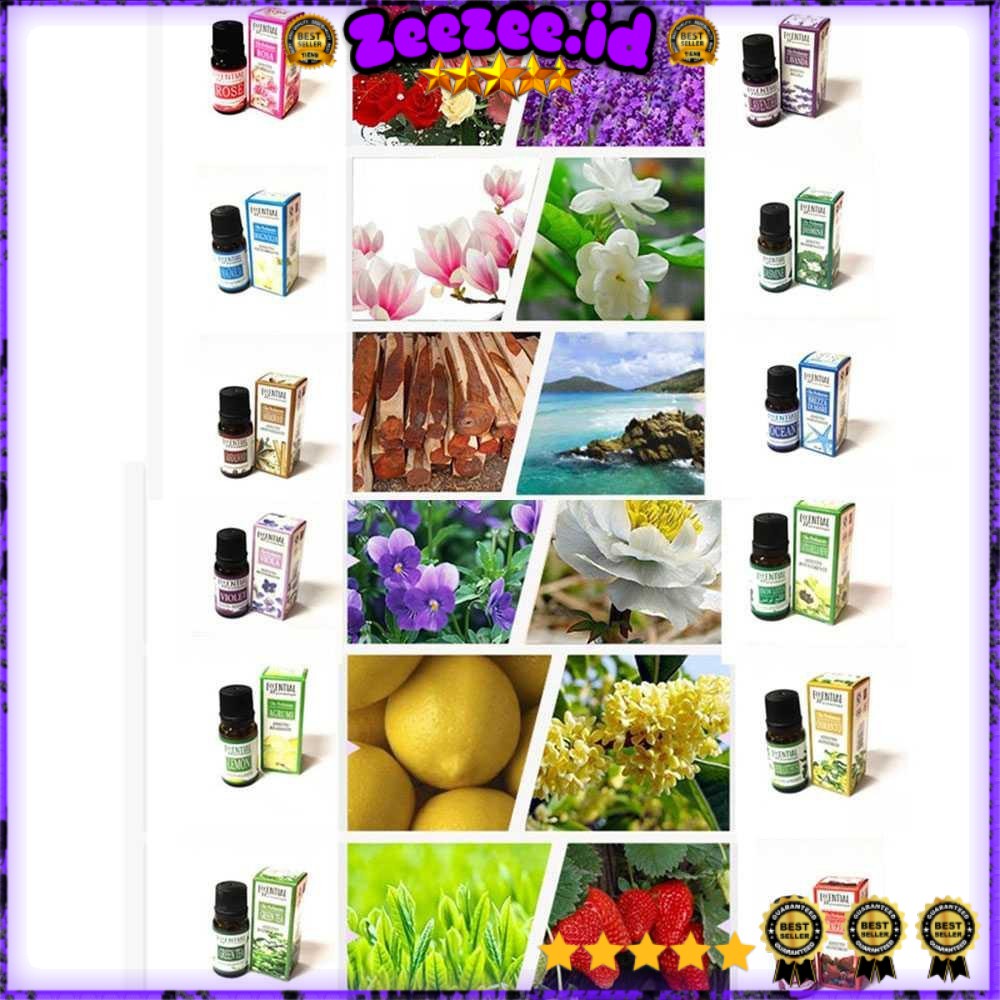 Oil pure essential fragrance oils minyak aromatherapy diffusers 10 ml EOL10