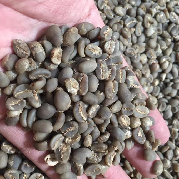 

GREEN BEAN ARABICA GAYO 1000 gr semi wash
