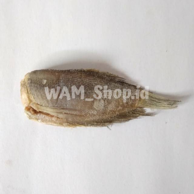 

Ikan asin sepat tanggung kemasan 100gram