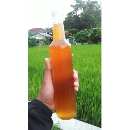 

MADU HUTAN SUMATERA / MADU HUTAN APIS DORSATA (640 gr berat madu) / MADU OBAT MAAG / MADU MURNI