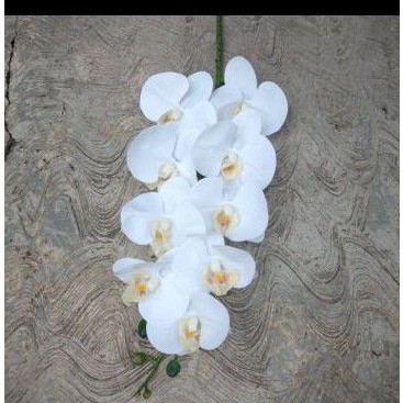 bunga anggrek latex putih premium//aggrek latex super premium import putih