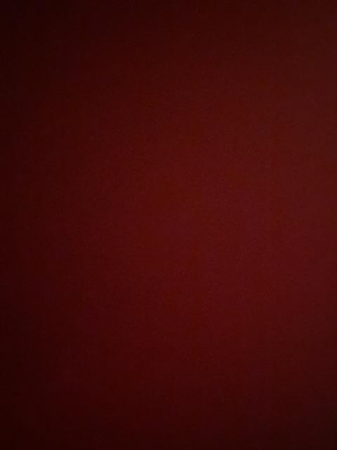 Sarung Tangan Plastik Bening Sarung Tangan Serba Guna Hand Glove