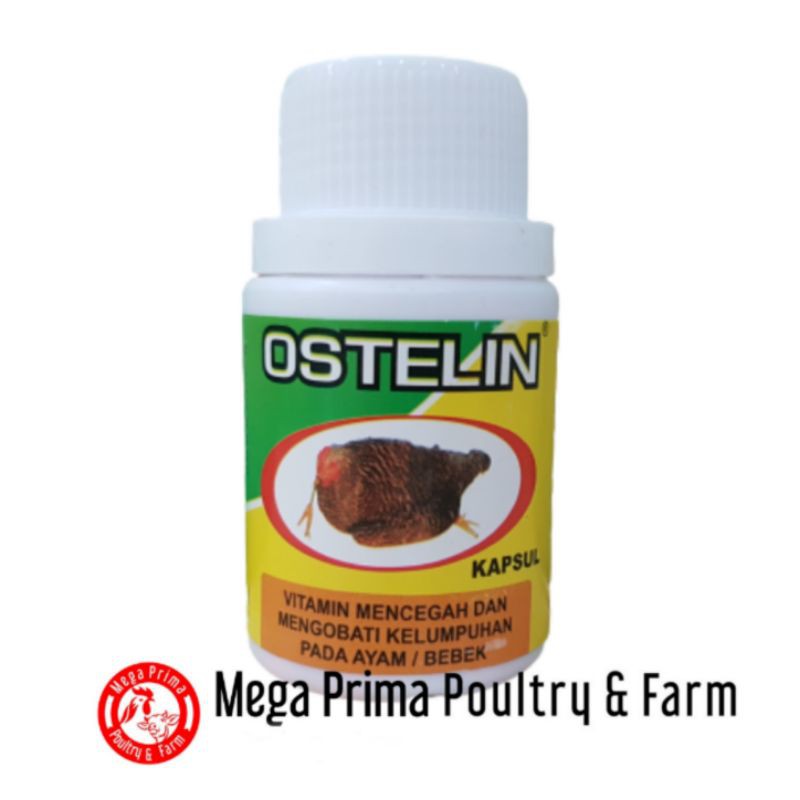 

OSTELIN 50 Kapsul Mencegah & Mengobati Kelumpuhan Ayam