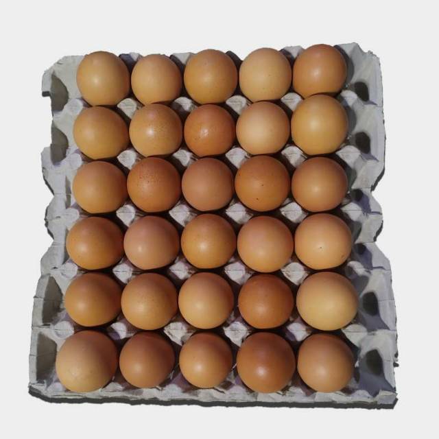 

Telur Negri Lokal Fresh GRADE A 1 tray isi 30 butir