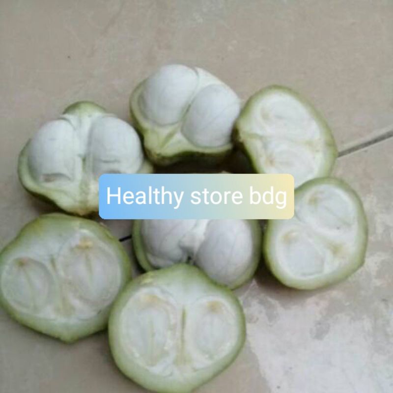 

Buah kemiri muda segar petik langsung