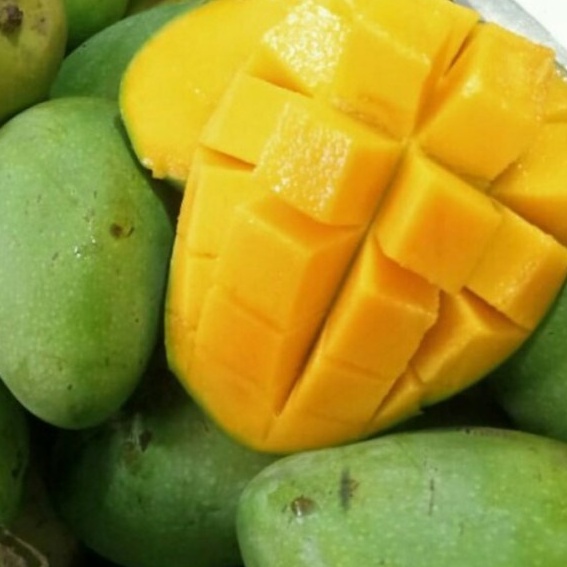 

Mangga Harum Manis SUPER PREMIUM, size 3 sd 4 pcS dalam 1kg