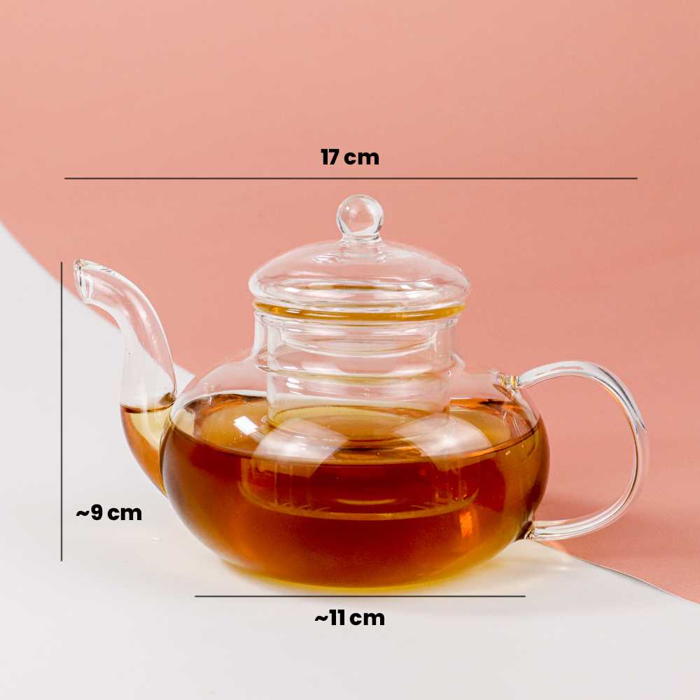 TD - RUM One Two Cups Teko Pitcher Glass Teapot Japanese Style Infuser - 8CV101