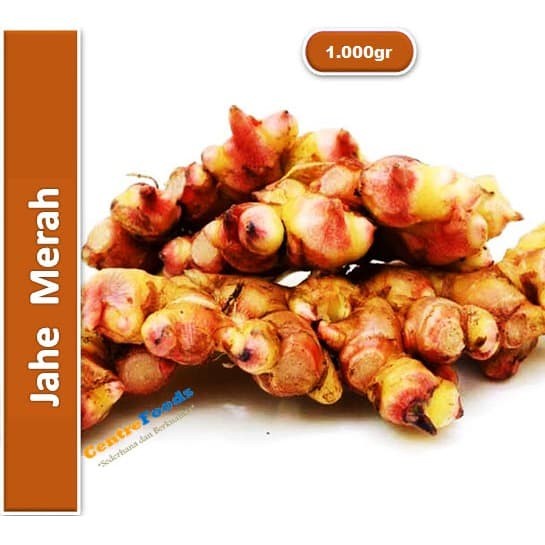 

Jahe Merah Fresh - Red Ginger Java | 1.000gr [ Harga Per KG ]