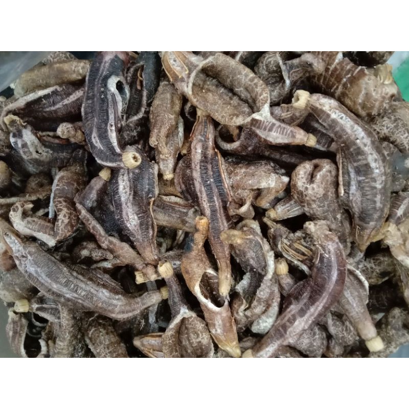 

KRUPUK Tripang blonyo 250g