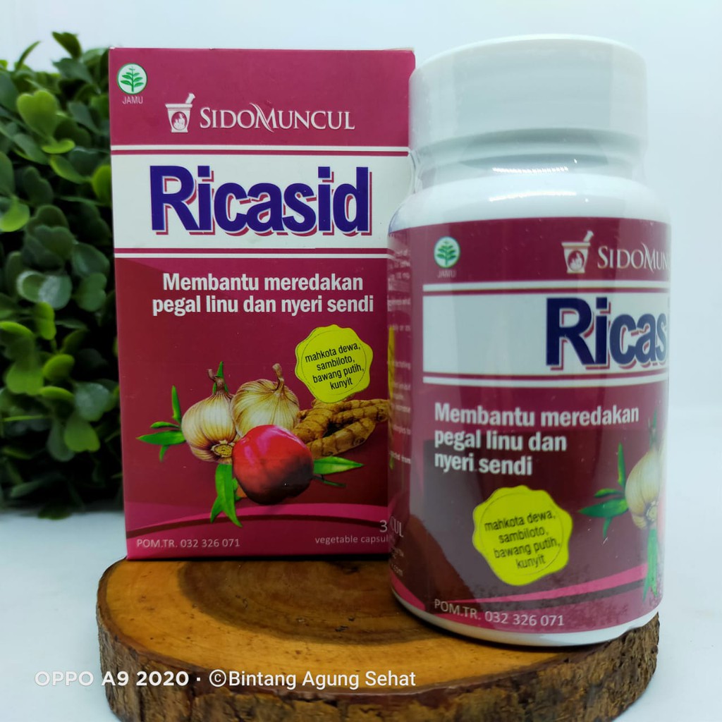 

SIDO MUNCUL RICASID (OBAT REUMATIK-REMATIK-ASAM URAT-PEGAL LINU-NYERI SENDI)