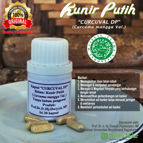 Kapsul Kunir Putih Prof Dwiyati CURCUVAL DP isi 30 kapsul [ ORIGINAL ]