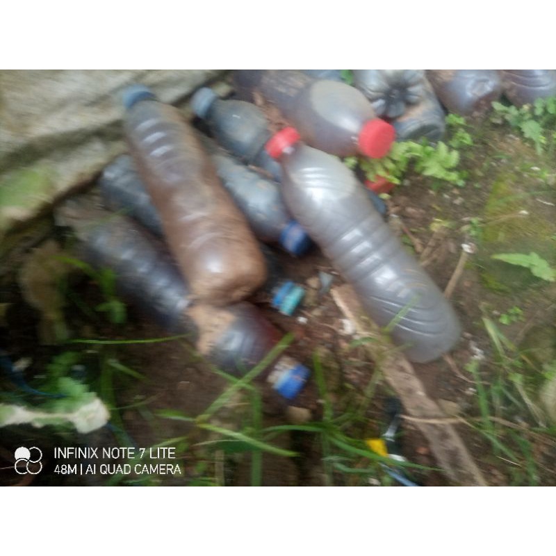 urin kelinci pupuk organik