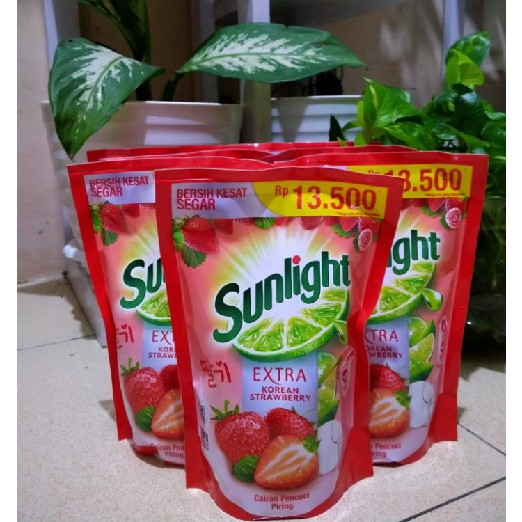 Sunlight Korean strawberry
