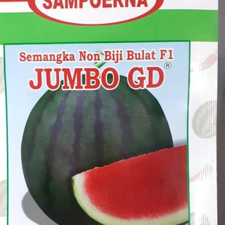 Smr 407 Semangka Non Biji Bulat F1 Jumbo Gd Beli 10 Gratis 1 Benih Berbiji Oval Shopee Indonesia