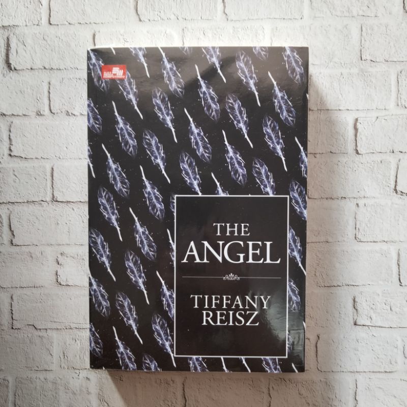 Novel bekas the angel by tiffany reisz