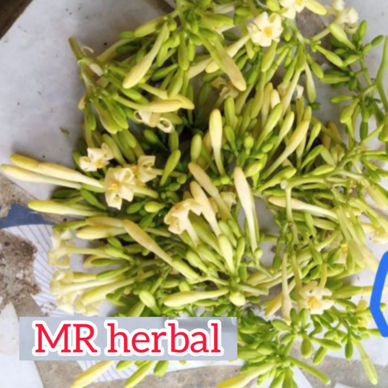 

Bunga pepaya karayunan segar per 250 gram