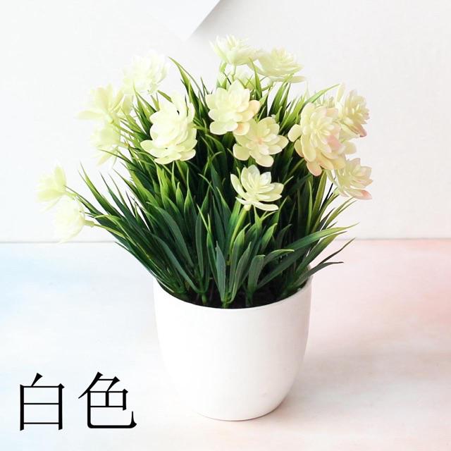 TIB / COD P2041( 1 KILO BISA 11 PCS )  Bunga. Bunga plastik. Bunga dekorasi-Putih