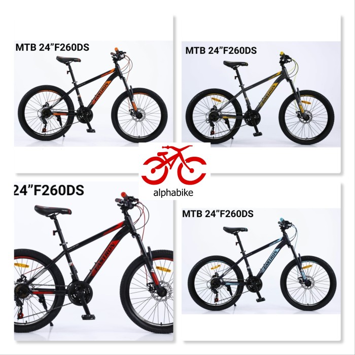 SEPEDA GUNUNG MTB 24 FASTRON MTB F260 DS F-260