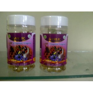 Kapsul Garlic Oil Plus Propolis Trigona 60kps