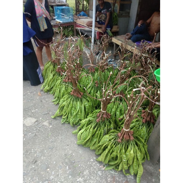 

petai jumbo fresh