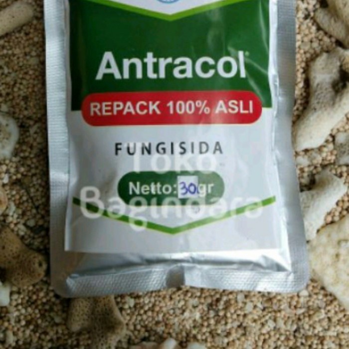 Antrakol Repack 30gr Anti jamur