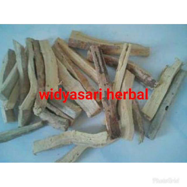 

PASAK BUMI KERING