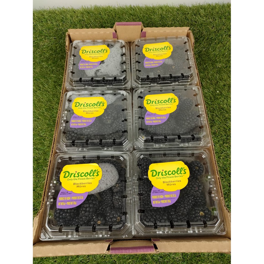 

Buah Blackberry Driscolls 1 Dus (12 Pack) Fresh Import