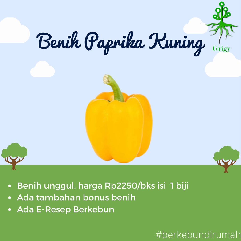 BIJI PAPRIKA KUNING, BENIH PAPRIKA KUNING, BIJI PAPRIKA , BENIH PAPRIKA