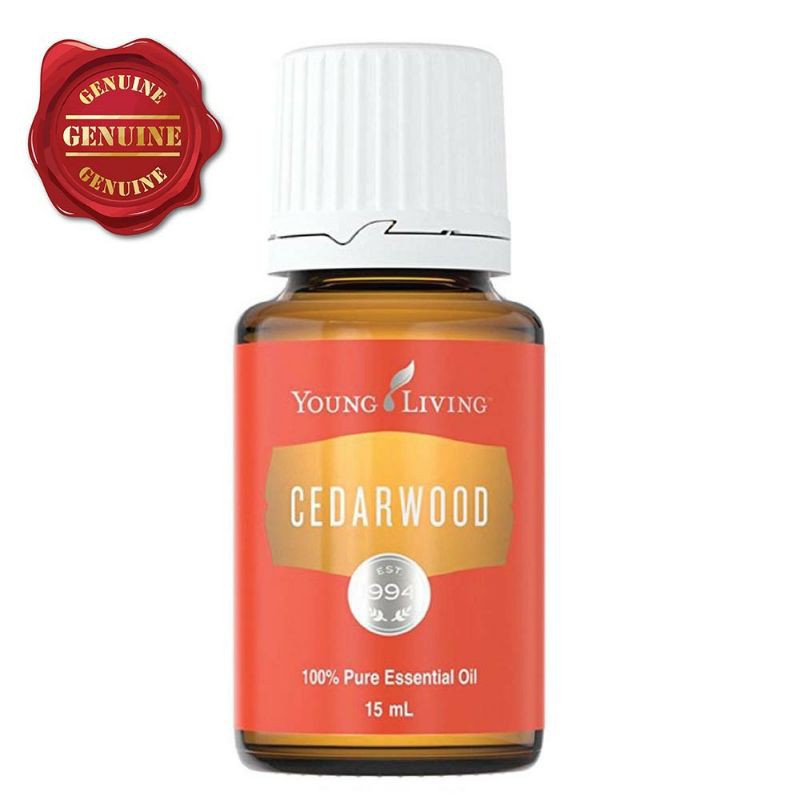 Cedarwood - 15ml YL oil