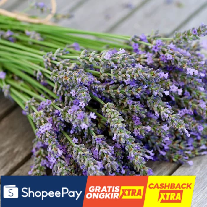 

LAVENDER Fragrance Oil (FO) 20mL - Bibit Parfum Kosmetik