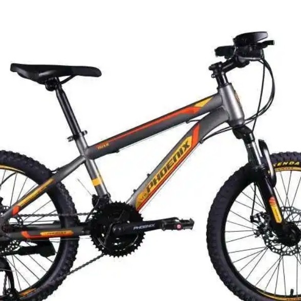 Sepeda Gunung Federal MTB 20 Phoenix 151XR