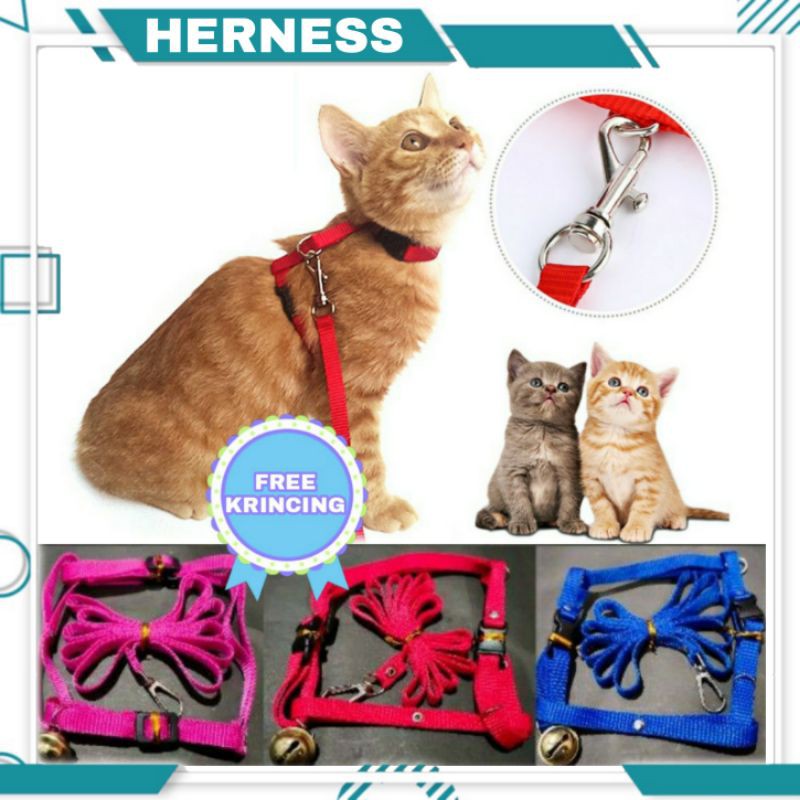 Harnes n leash tali tuntun kucing anjing musang GRATIS krincingan 20mm