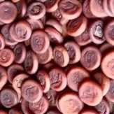 

kesemek import 1000gr