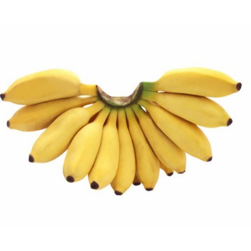 

Pisang Lampung 1 sisir