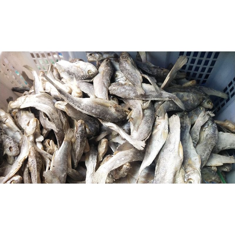 

Ikan asin Kepala batu