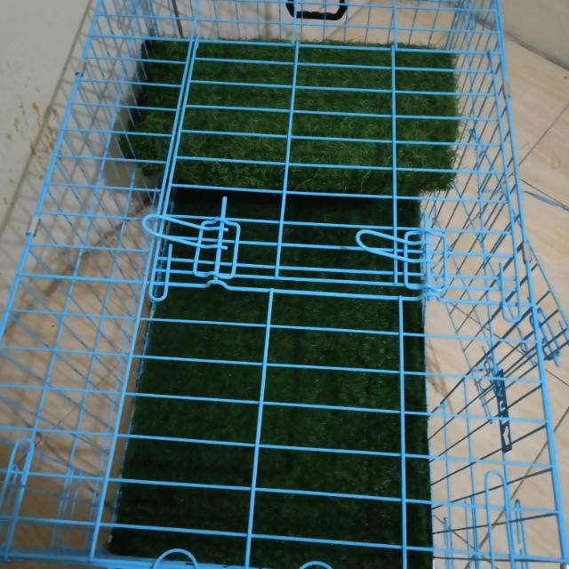 Rumput Sintetis Khusus Kandang Kucing  Shopee Indonesia