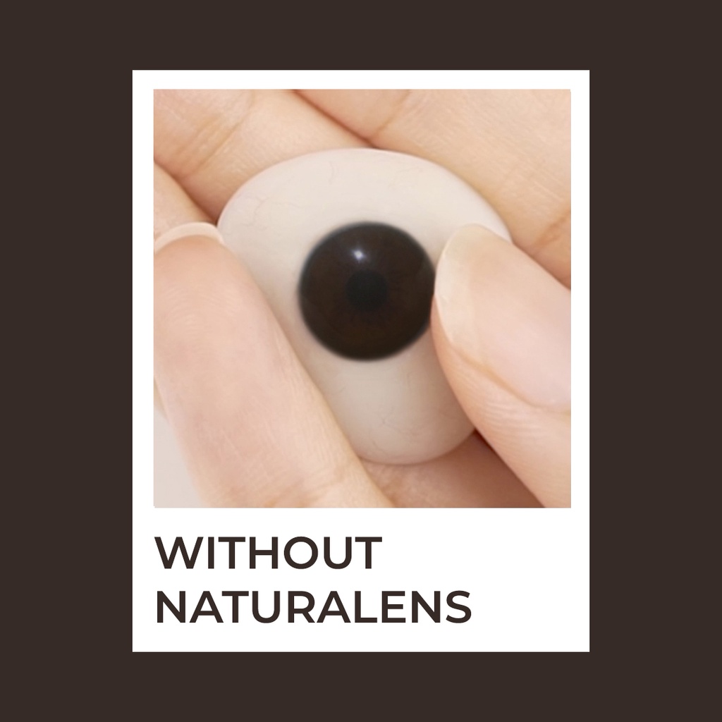 Naturalens Sunset Ring Softlens Biomoist (0 sd -10) Contact Lens