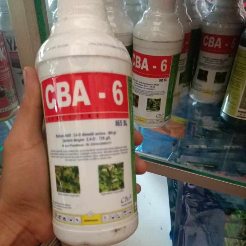 CBA-6 865 SL