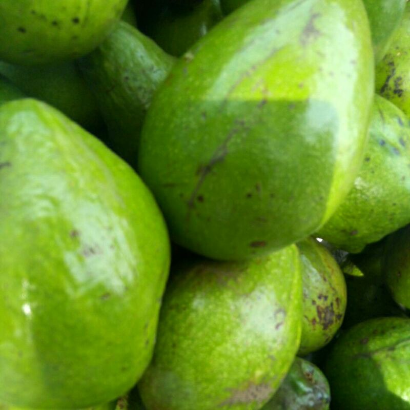 

apukatmentega