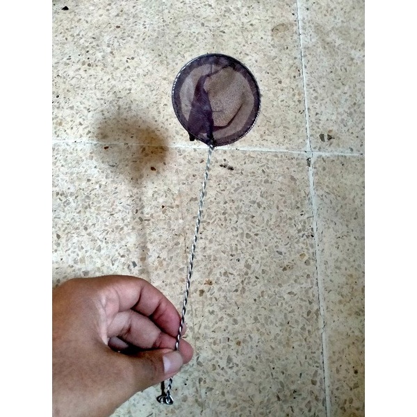 seser serok ikan kecil hias cupang